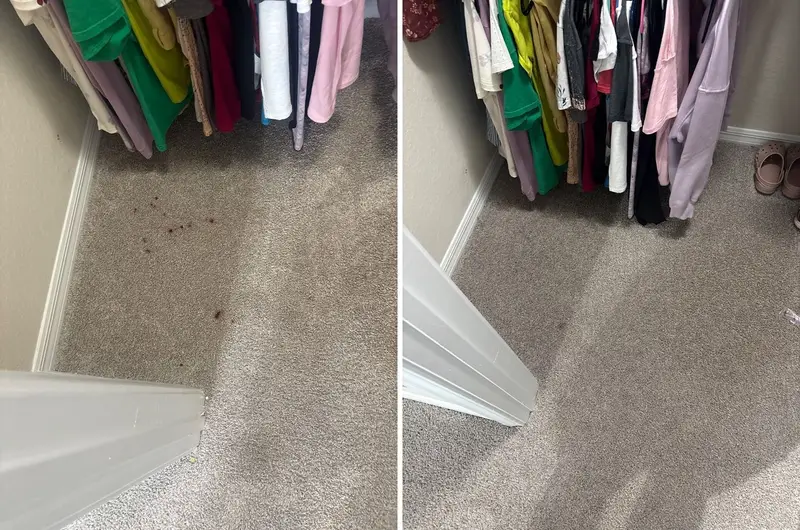 Closet carpet with red drip spots below hanging clothes, then the same closet floor without the spots
