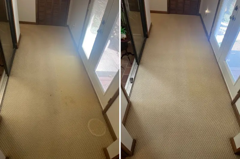 Patterned beige carpet by mirrored closet doors and French doors with a dark spot and rings, then cleaner carpet