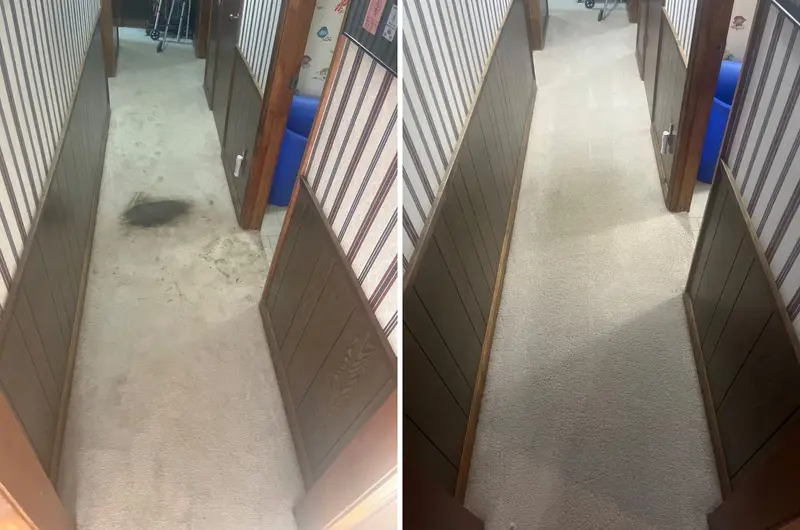 Hallway carpet with a large black stain and dirty marks, then the same hallway with clean, even carpet