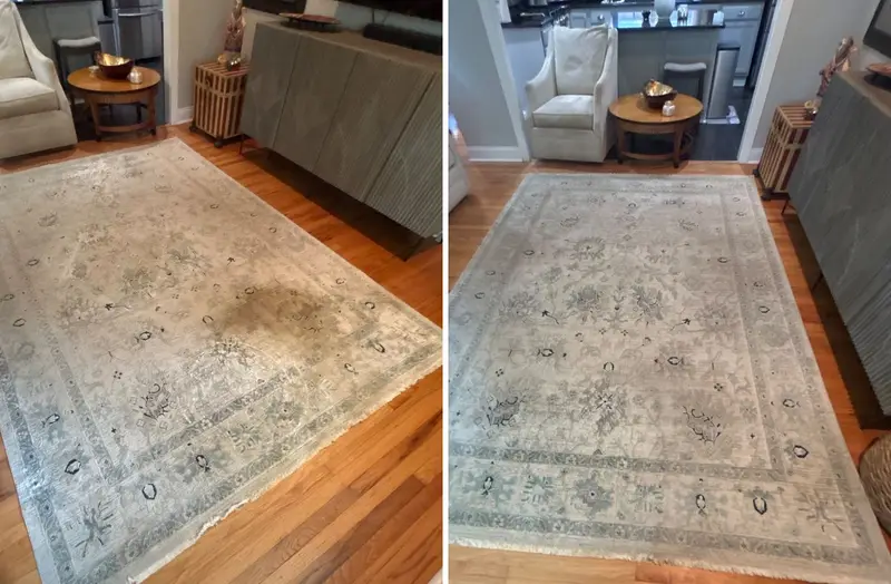 Pale area rug with a large dark stain in the middle, then the same rug with the stain gone