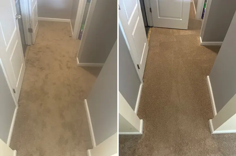 Tan hallway carpet covered in brown footprints, then clean even tan carpet