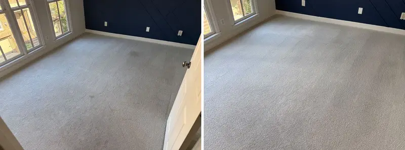 Gray carpet in a room with a navy wall and large windows, dark spots before and clean even color after