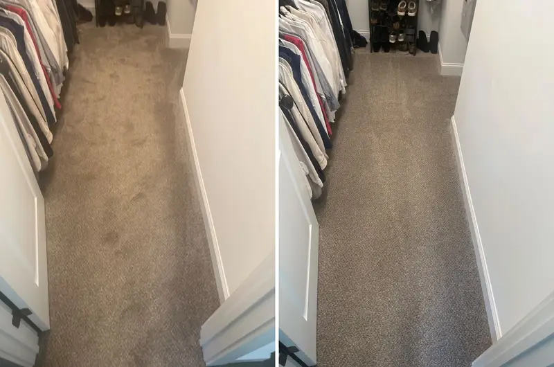 Taupe closet carpet with dark blotches beside hanging shirts, then lighter carpet in the same closet