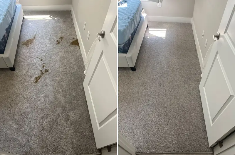 Gray bedroom carpet with several brown stains and spills, then the same carpet clean and even